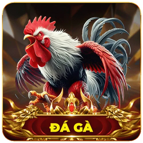 đá gà 77win